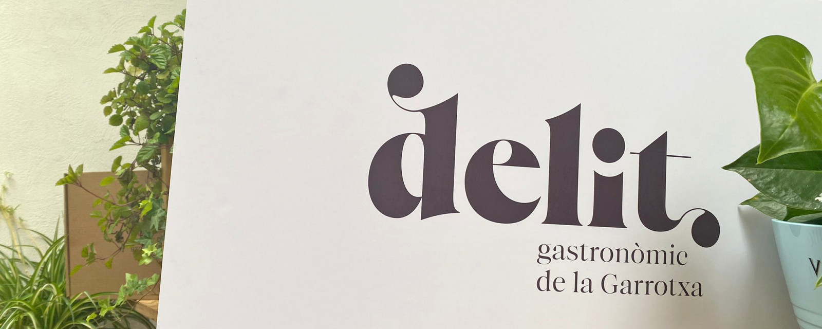 Delit2022