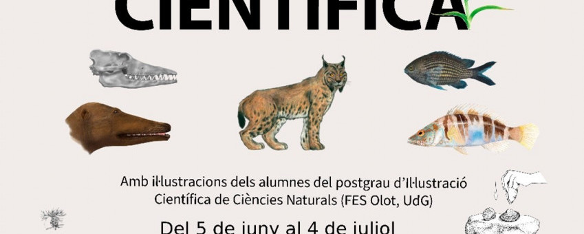 Exposició_Olot_Ilustració