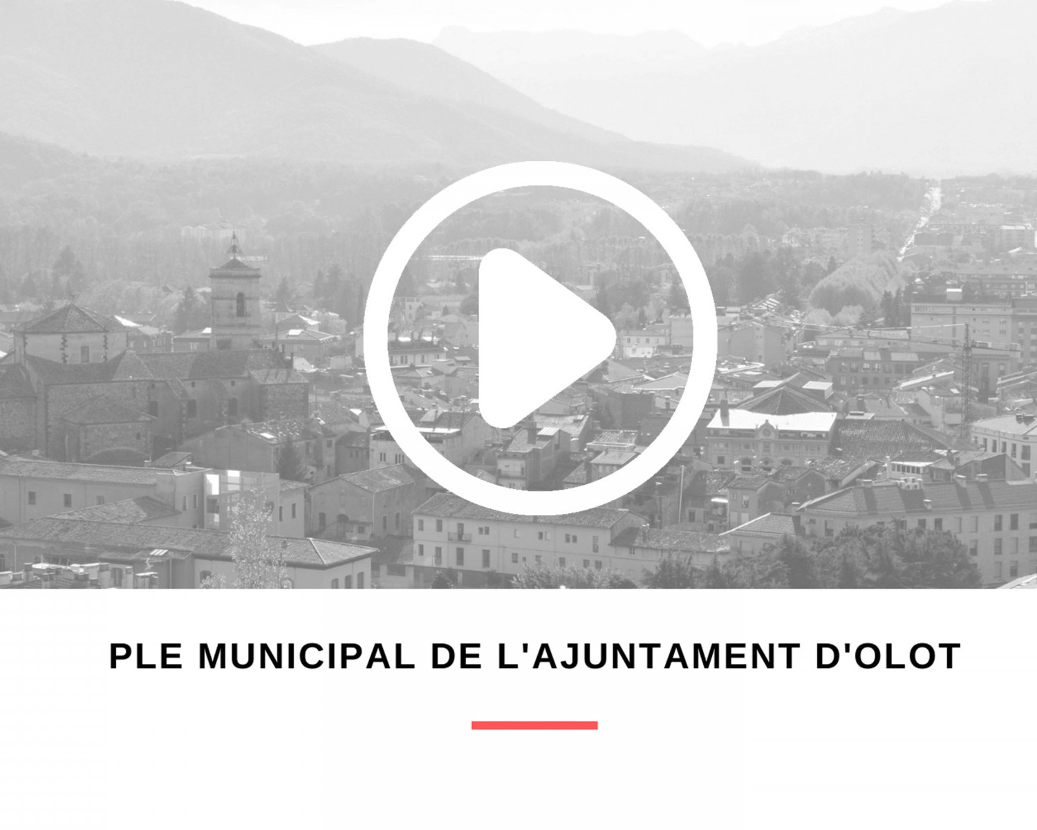 Ple_Municipal_Web_Icona