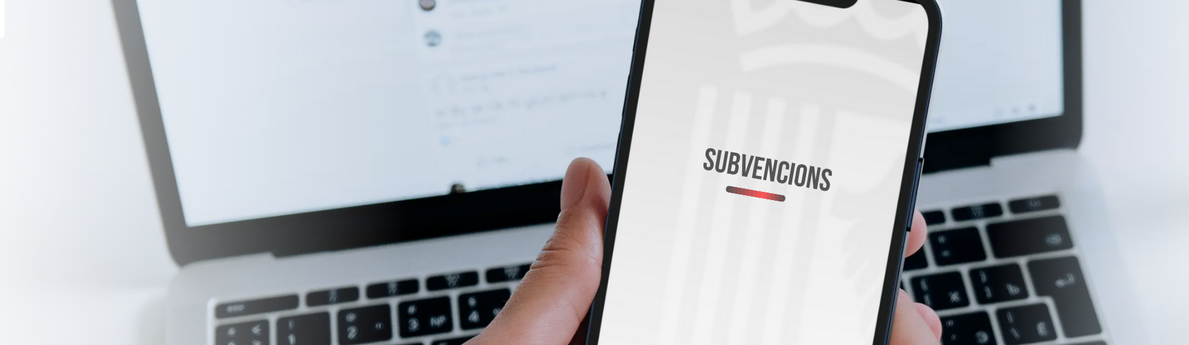 Subvencions per a entitats